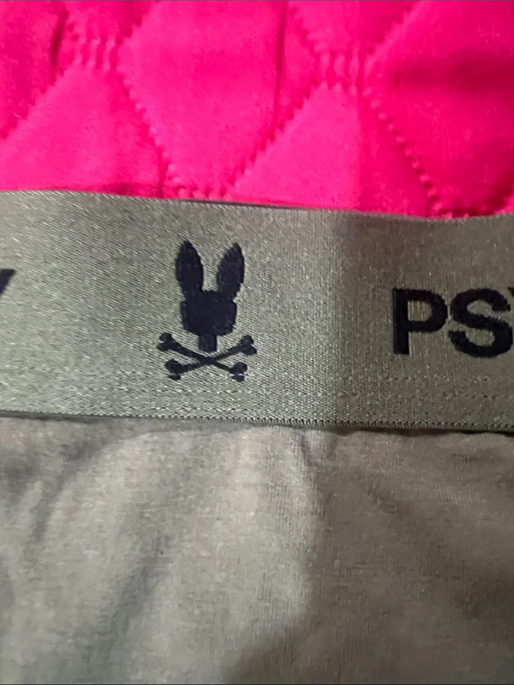 Psycho Bunny Men's Boxer Briefs – Purple & Olive Pair